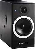 Digidesign RM1 Reference Monitor Series Powered Studio Monitor
