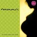 Pregnancy Planner 2010 Calendar