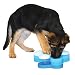 Nina Ottoson Dog Tornado - Fun Interactive Dog/Puppy Toy