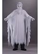 Ghost Costume Men's or Women's Unisex Costume