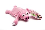 Flying Pig Sports Toys and Outdoor