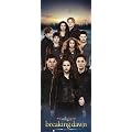 Ravensburger 15113 - Twilight: Breaking Dawn-Puzzle, 1000 teile