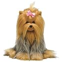 TY Mitsy the Yorkshire Terrier Classic 10"