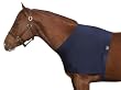 Roma Shoulder Guard
