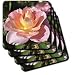 Autumn Rose Beauty- Flowers- Floral Photography - Set Of 8 Ceramic Tile Coasters