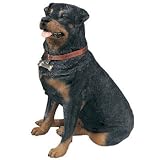 Sandicast Life Size Rottweiler Dog Statue