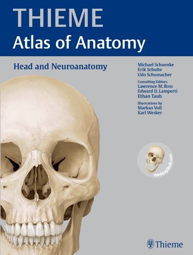 Head and Neuroanatomy (THIEME Atlas of Anatomy) 1st Edition by Schuenke, Michael, Schulte, Erik, Schumacher, Udo, Ross, Law (2010) Paperback
