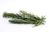 Rosemary Leaf Tea