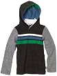 Splendid Littles Toddler Boys Colorblock Active Hoodie