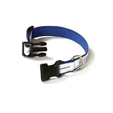 Boeing Pet Collar - Small