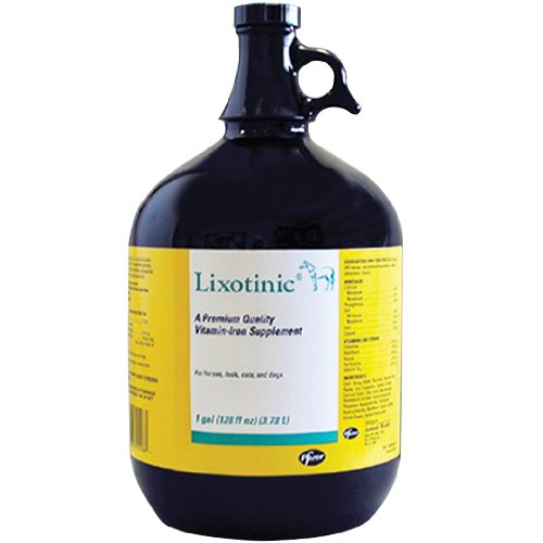 Lixotinic Gallon