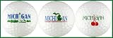 Michigan Variety Golf Balls