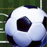 Heads Up! Soccer Party Beverage Napkins 16 Pack