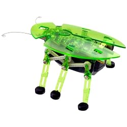 HEX BUG GREEN