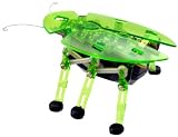 HEX BUG GREEN