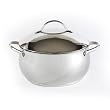 Hamilton Beach 94709 Stainless Gourmet Pro 5 Quart Covered Dutch Oven