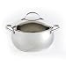 Hamilton Beach 94709 Stainless Gourmet Pro 5 Quart Covered Dutch Oven
