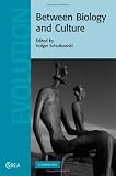 Between Biology and Culture (Cambridge Studies in Biological and Evolutionary Anthropolog)