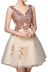 Lace Beaded Short Tulle Bodycon Dress/Evening Dress/Prom Dress/Party Dress 