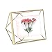 Umbra Prisma Picture Frame, 4x6 Photo Display for Desk or Wall, Brass