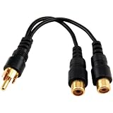 Y Audio Cable
