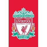 Liverpool FC Football Rug