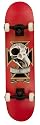 Birdhouse Titanium Series Skull Complete Skateboard