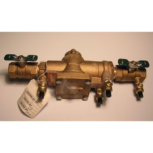 Leaking Watts Backflow Preventer for Sprinkler Plumbing Handyman