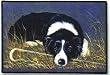 Border Collie Indoor Outdoor Designer Doormat Rug