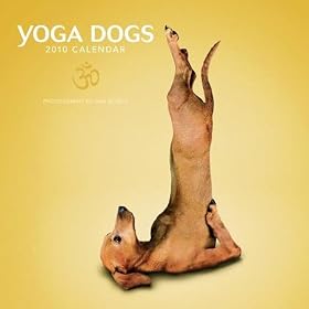 Yoga Dogs Animal Humour Humour - 30x30cm - Calendrier 2010