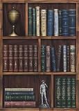 Classic Literature I by Steve Butler Art Print Poster