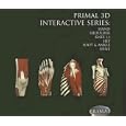 Professional Combo Pack (Set of 6): Hand, Hi, Knee, Shoulder, Foot and Spine