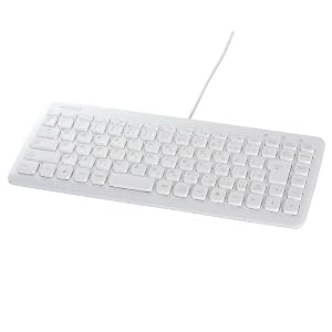 【クリックで詳細表示】iBUFFALO コンパクトキーボード USB接続 90キー 独立キータイプ ホワイト BSKBU05WH
