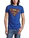 Bioworld Men's Superman Logo Tee