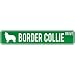 New  Border Collie Drive  Street Sign Dog