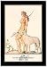 DIANA Alberto Vargas White Dogs Nude Framed Art Picture