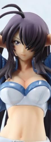 一騎当千XX レースクイーン 関羽 (PVC製塗装済完成品)