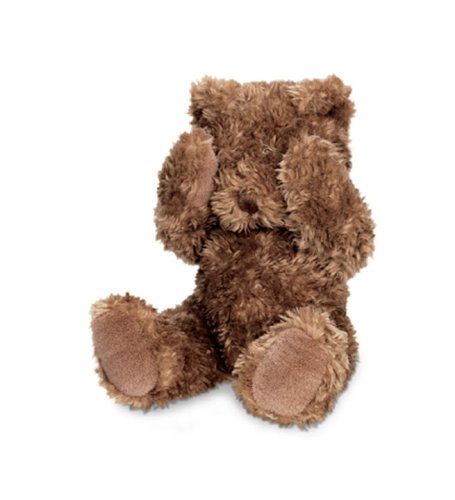Munchkin Peek-A-Boo Bear