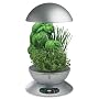 AeroGarden 900213-1200 3 with Gourmet Herb Seed Kit, Silver