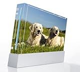 Golden Retriever Decorative Protector Skin Decal Sticker for Nintendo Wii C ....
