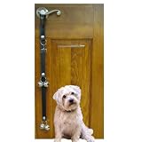 dog behavioral problems 41ObZDo2GAL. SL160 Dog Behavioral Problems