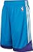 New Orleans Hornets adidas 2009-2010 On-Court Pre-Game Short - Large