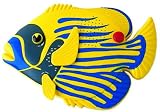 Review Steepletone AFR1-Yellow/Blue / Steepletone AFR1 Radio