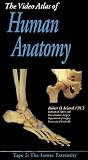 Acland's Video Atlas of Human Anatomy: The Lower Extremity: Tape 2 [VHS]