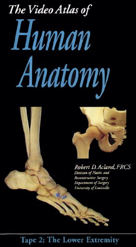 41ObonZEwiL Book Reviews: Acland's Video Atlas of Human Anatomy: The Lower Extremity [VHS]