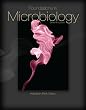 Foundations in Microbiology