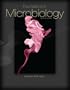Foundations in Microbiology