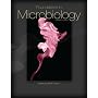 Foundations in Microbiology