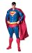 Search : Superman Collectors Edition Costume