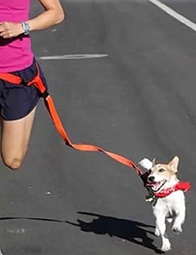 DomePet Hands Free Dog Leash, Adjustable Waist Belt, Pink